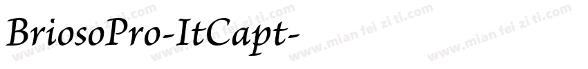 BriosoPro-ItCapt字体转换