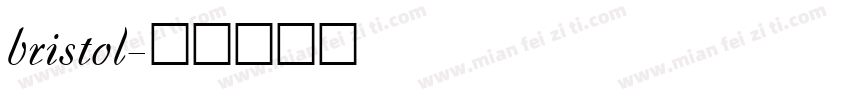 bristol字体转换