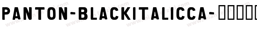 Panton-blackitalicCa字体转换
