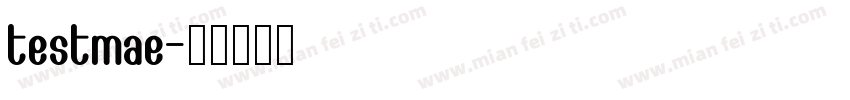 testmae字体转换