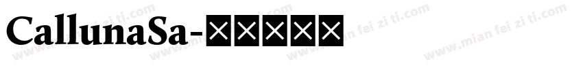 CallunaSa字体转换
