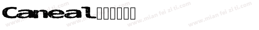 Caneal字体转换