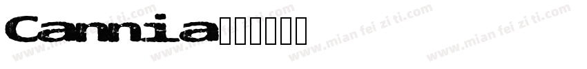 Cannia字体转换