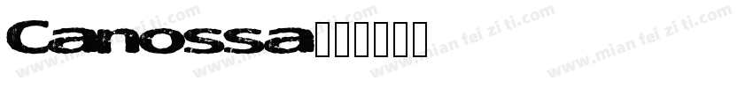 Canossa字体转换