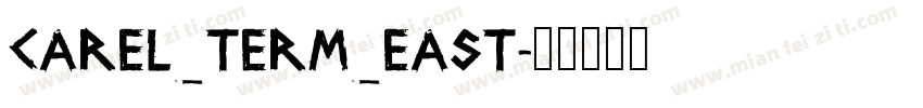 CAREL_TERM_EAST字体转换