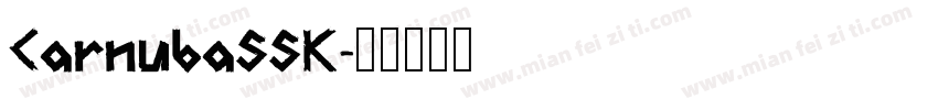 CarnubaSSK字体转换