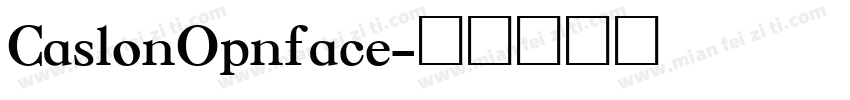 CaslonOpnface字体转换