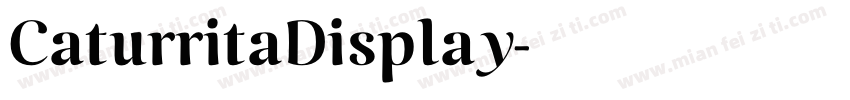 CaturritaDisplay字体转换