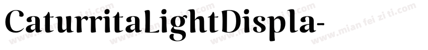 CaturritaLightDispla字体转换