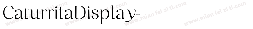 CaturritaDisplay字体转换