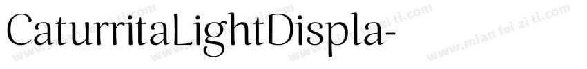 CaturritaLightDispla字体转换
