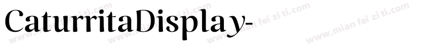 CaturritaDisplay字体转换