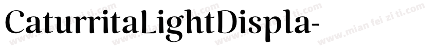 CaturritaLightDispla字体转换