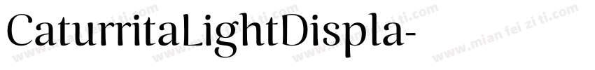 CaturritaLightDispla字体转换