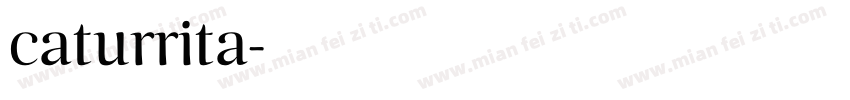caturrita字体转换