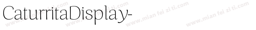 CaturritaDisplay字体转换