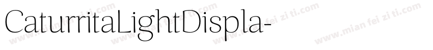 CaturritaLightDispla字体转换