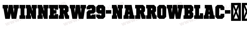 WinnerW29-NarrowBlac字体转换