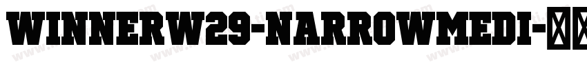 WinnerW29-NarrowMedi字体转换