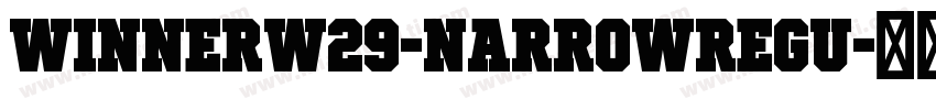 WinnerW29-NarrowRegu字体转换