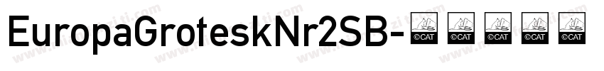 EuropaGroteskNr2SB字体转换
