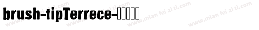 brush-tipTerrece字体转换