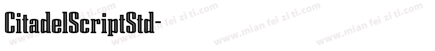 CitadelScriptStd字体转换