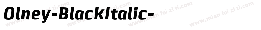 Olney-BlackItalic字体转换