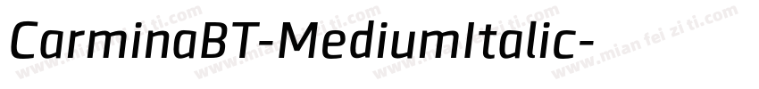 CarminaBT-MediumItalic字体转换