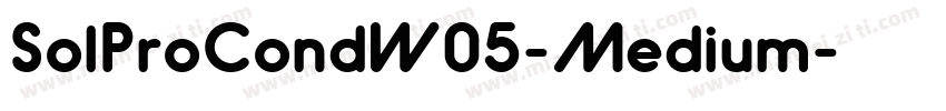 SolProCondW05-Medium字体转换