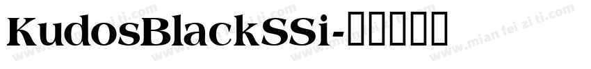KudosBlackSSi字体转换