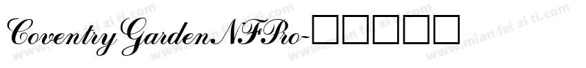 CoventryGardenNFPro字体转换
