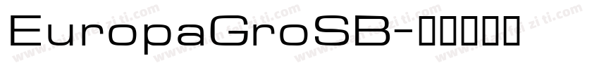 EuropaGroSB字体转换