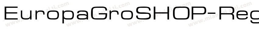 EuropaGroSHOP-Reg字体转换