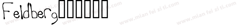 Feldberg字体转换