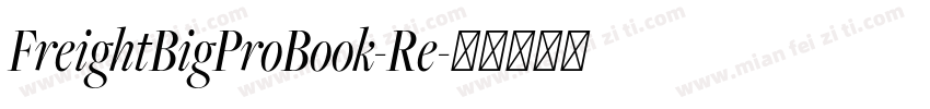 FreightBigProBook-Re字体转换