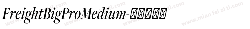 FreightBigProMedium字体转换
