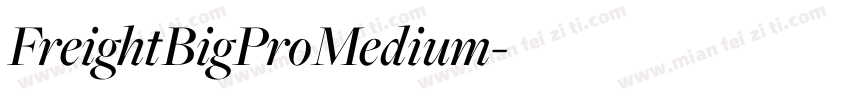 FreightBigProMedium字体转换