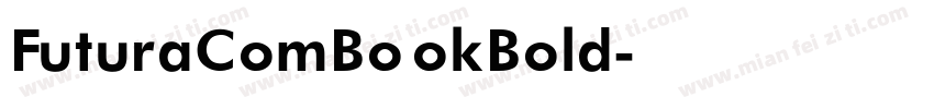 FuturaComBookBold字体转换