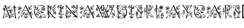 MackinawDisplayCaps字体转换