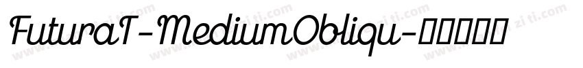 FuturaT-MediumObliqu字体转换