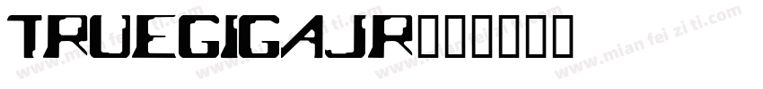 TrueGigaJr字体转换