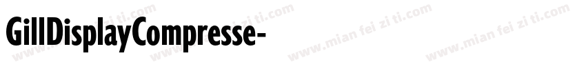 GillDisplayCompresse字体转换