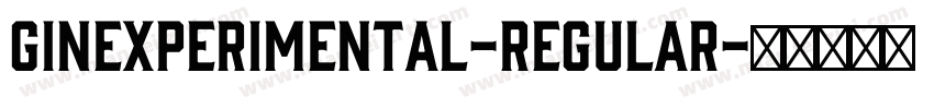 GINExperimental-Regular字体转换