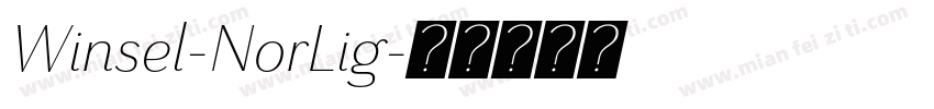 Winsel-NorLig字体转换