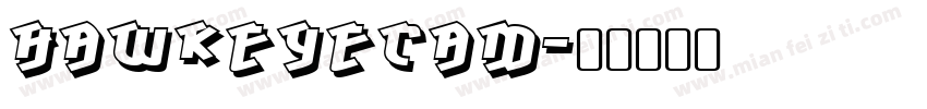 HawkeyeCam字体转换