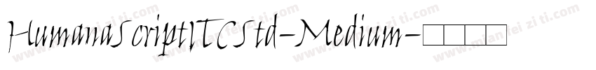 HumanaScriptITCStd-Medium字体转换