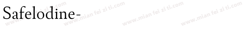 Safelodine字体转换