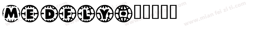 MEDFLY字体转换