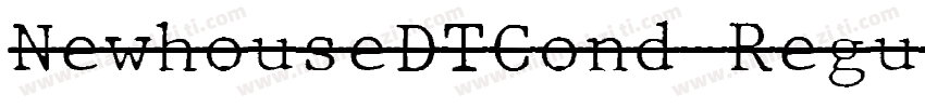 NewhouseDTCond-Regul字体转换